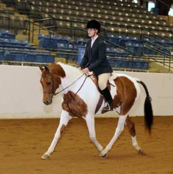 Meet your Posher, Yvonne - Picture 1 of 1